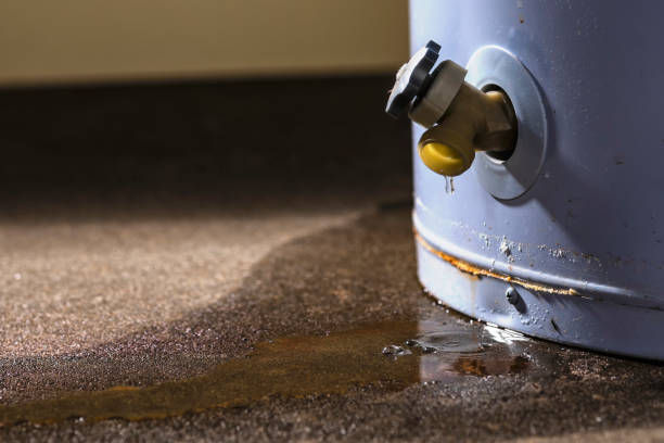 Best Sewage cleanup and water damage restoration  in Casper, WY