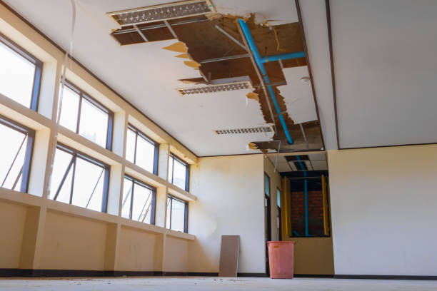 Best Water damage restoration process  in Casper, WY