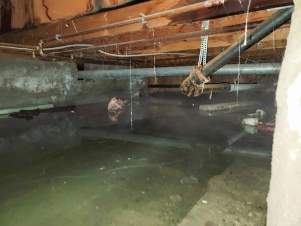 Best Water damage restoration insurance claims  in Casper, WY