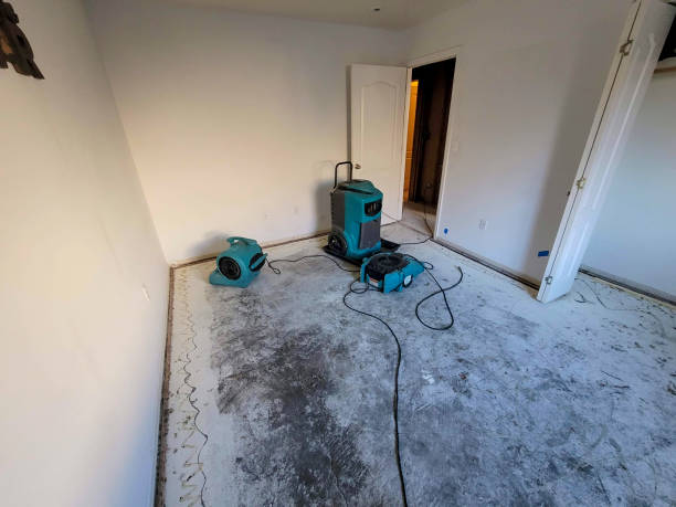 Water damage restoration mold remediation in WY