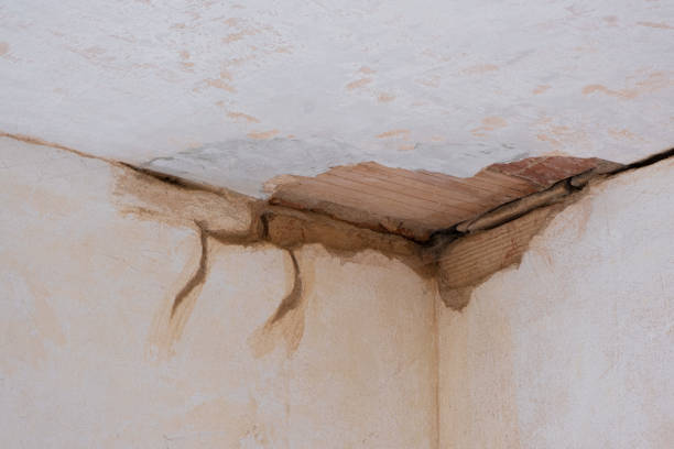 Best 24/7 water damage repair  in Casper, WY