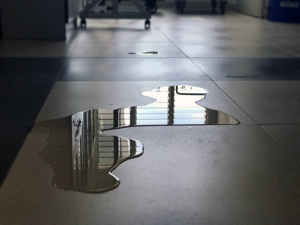 Best Water damage restoration near me  in Casper, WY