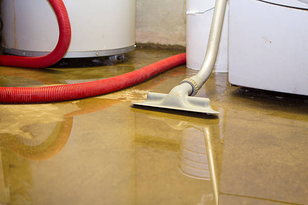 Best Water damage cleanup near me  in Casper, WY