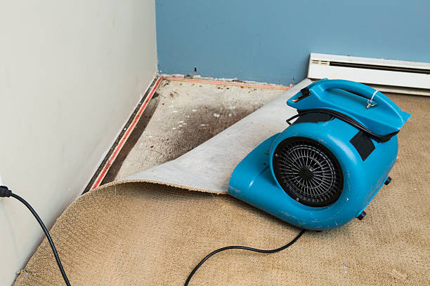 Best Flood damage cleanup  in Casper, WY